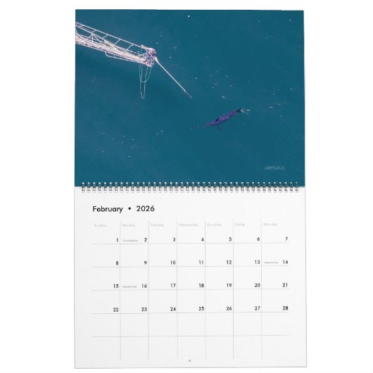 Swordfish Only Calendar 2026 カレンダー (2月 2026)
