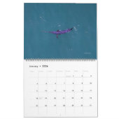 Swordfish Only Calendar 2026 カレンダー (1月 2026)
