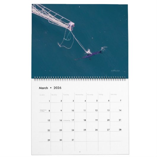 Swordfish Only Calendar 2026 カレンダー (3月 2026)