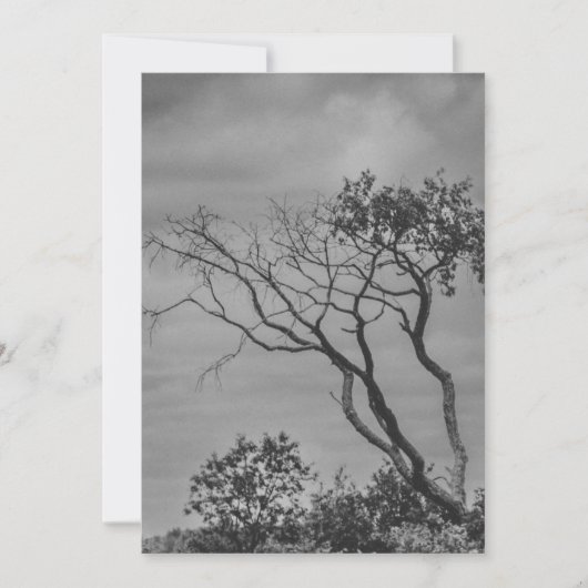 SWSによる定型化されたアメリカのゴシック様式の木の写真の再印刷 シーズンカード (正面)