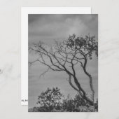 SWSによる定型化されたアメリカのゴシック様式の木の写真の再印刷 シーズンカード (正面/裏面)