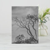 SWSによる定型化されたアメリカのゴシック様式の木の写真の再印刷 シーズンカード (スタンド正面)