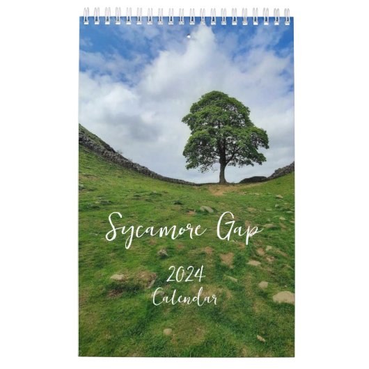 Sycamore Gap 2024カレンダー カレンダー (裏面)