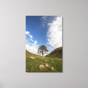 Sycamore Gap Streted Canvas Print キャンバスプリント