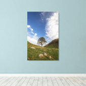 Sycamore Gap Streted Canvas Print キャンバスプリント (インサイチュ (ウッドフロア))
