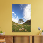 Sycamore Gap Streted Canvas Print キャンバスプリント (インサイチュ (リビング))