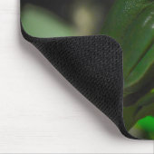 Sydney Zoo - Green Tree Frog マウスパッド (コーナー)