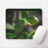 Sydney Zoo - Green Tree Frog マウスパッド (マウス)