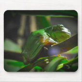 Sydney Zoo - Green Tree Frog マウスパッド (正面)