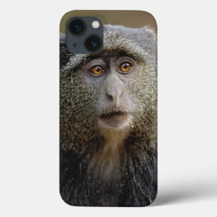 Sykesか青い猿のCercopithecusのmitis、 iPhone 13ケース