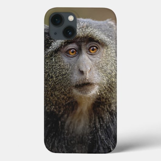 Sykesか青い猿のCercopithecusのmitis、 Case-Mate iPhoneケース (裏面)
