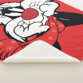 SYLVESTER™クリスマスの感想 シェルパブランケット (3/4)