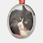 Sylvester メタルオーナメント (左)