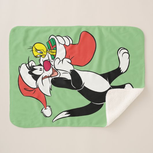 Sylvester Cat with Stocking シェルパブランケット (正面(横))