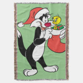Sylvester Cat with Stocking スローブランケット (正面縦)