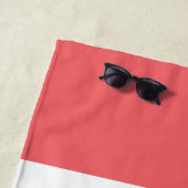 SYLVESTER™ & TWEETY™|プライドと共に戦う ビーチタオル (インサイチュ)