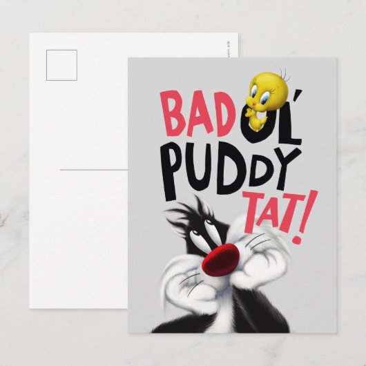 SYLVESTER™ & TWETY™ – 平均Ol' Puddy Tat ポストカード (正面/裏面)