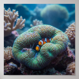 Symbiotic Life: Clownfish, Shrimp & Brain Coral ポスター