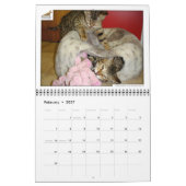Syminouカレンダー2018 Savannah Cat カレンダー (2月 2027)