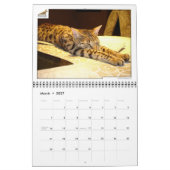 Syminouカレンダー2018 Savannah Cat カレンダー (3月 2027)