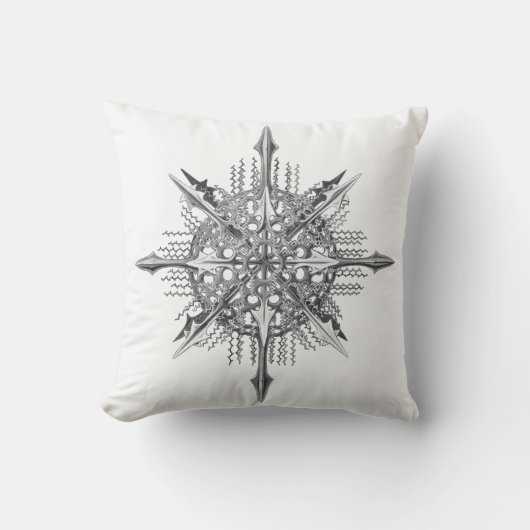 Symmetry by Ernst Haeckel クッション (正面)
