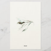 sympathy card 便箋 (裏面)