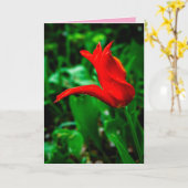Sympathy Card with a Photo of a Canna Lily カード (黄色い花)