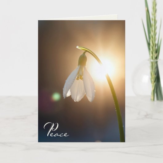 Sympathy Snowdrop with Dewdrops in Sunlight カード (正面)