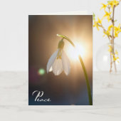 Sympathy Snowdrop with Dewdrops in Sunlight カード (黄色い花)