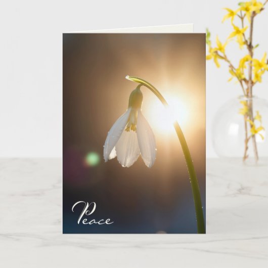 Sympathy Snowdrop with Dewdrops in Sunlight カード (黄色い花)
