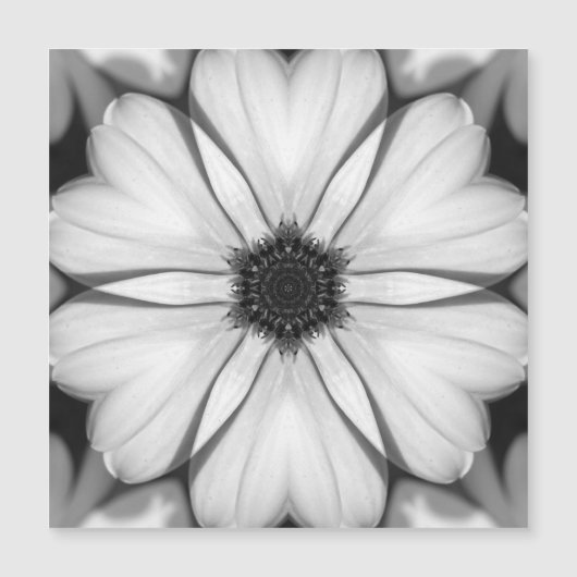 Symphony of Petals Magnetic Card (正面)