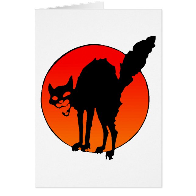 Syndicalistの猫 (正面)