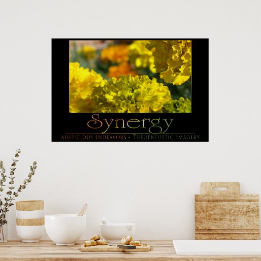 Synergy ポスター (キッチン)