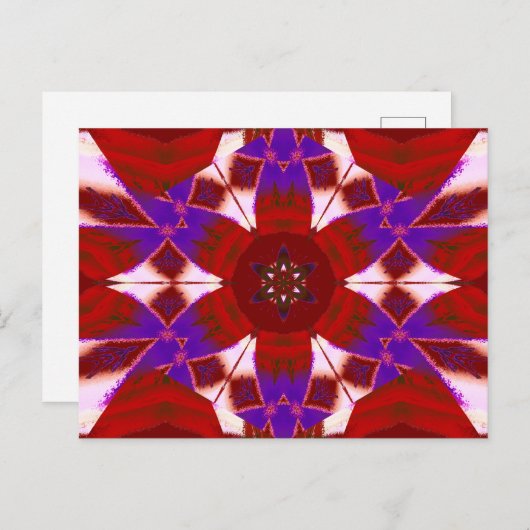 SYNERGY JASMINE 4 ポストカード (正面/裏面)