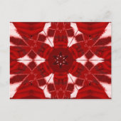 SYNERGY JASMINE 5 ポストカード (正面)