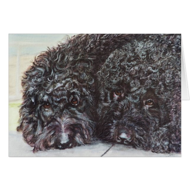 "Syrahおよびカバルネワイン" (正面横)