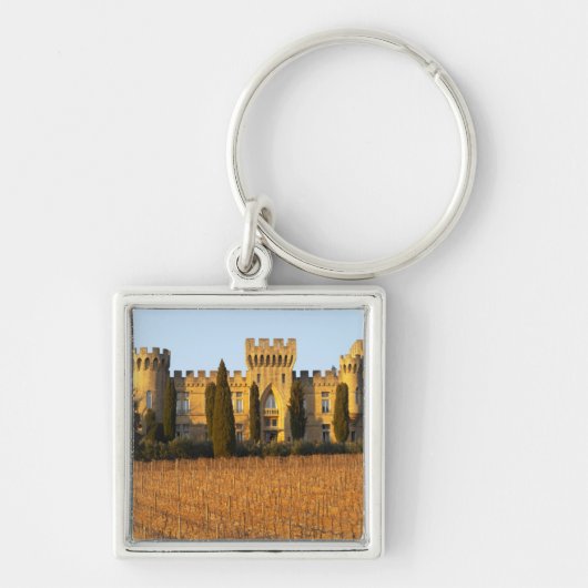 syrahのつる植物および館が付いているブドウ園 キーホルダー (正面)