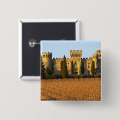 syrahのつる植物および館が付いているブドウ園 缶バッジ (正面&裏面)