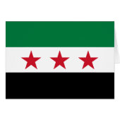 Syria Flag (正面横)