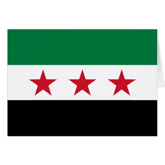 Syria Flag (正面横)