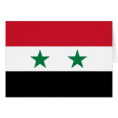 Syria Old Flag (正面横)