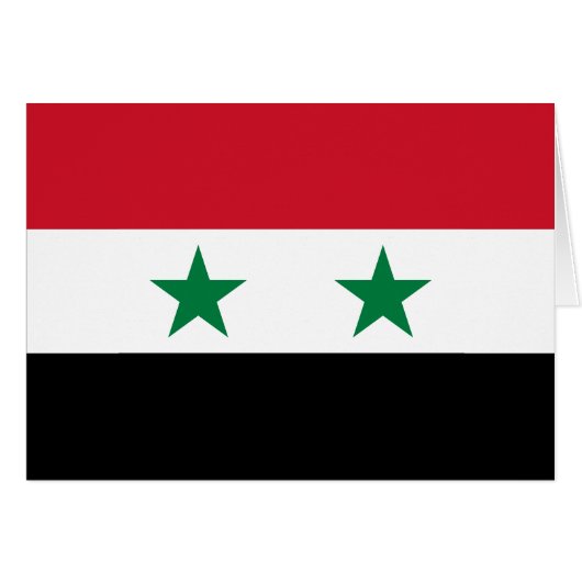 Syria Old Flag (正面横)