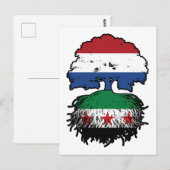 Syrian Dutch Roots and Crown Tree ポストカード (正面/裏面)