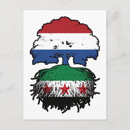 Syrian Dutch Roots and Crown Tree ポストカード (正面)