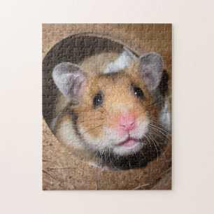 Syrian Pet Hamster - Standard Hamster - Teddy Bear ジグソーパズル
