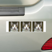 Syrusはバンパーステッカー0001に衝撃を与えました バンパーステッカー (車上)