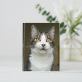 Syrusショックポストカード0001 ポストカード (スタンド正面)