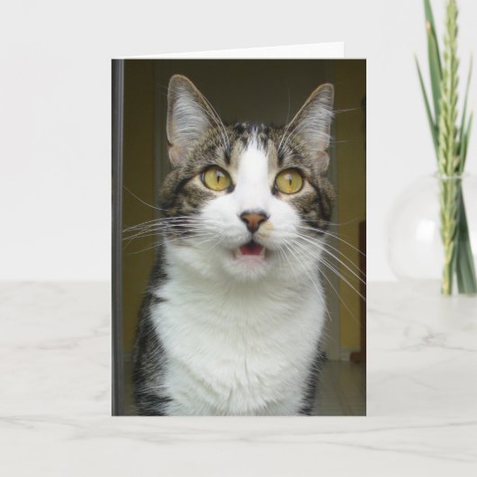 Syrusショック応答カード0001 カード (正面)