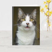 Syrusショック応答カード0001 カード (黄色い花)