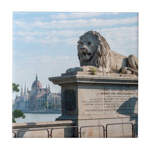 Szechenyiチェーンブリッジとブダペスト議会 タイル (正面)